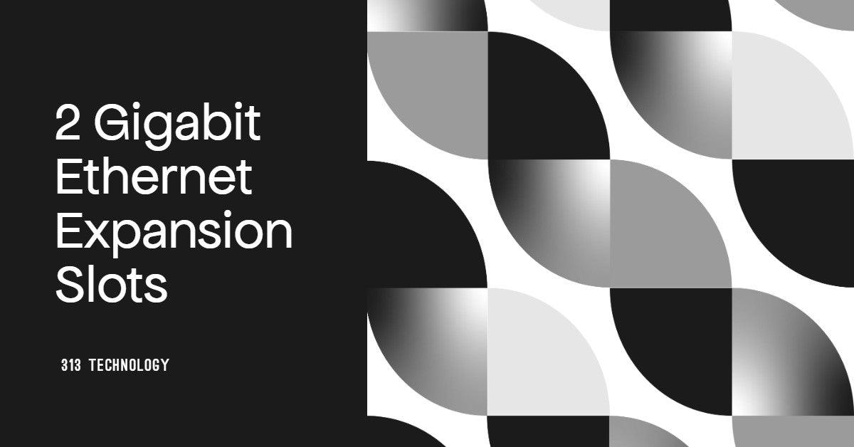 Unleash Network Potential with 2 Gigabit Ethernet Expansion Slots