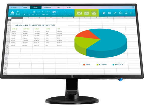 HP N246v - 23.8" - 1920 x 1080 - Monitor - 313 Technology LLC