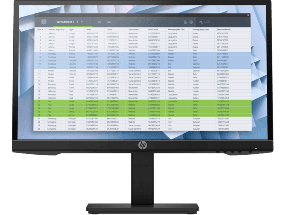HP P22h G4 - 21.5" - 1920 x 1080 - Monitor - 313 Technology LLC