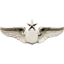 2 BRIGHT SILVER WINGS