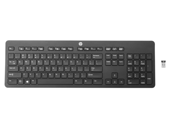 HP Wireless (Link-5) Keyboard US